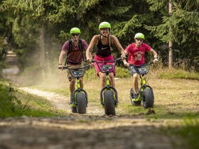 Erlebnisurlaub in Oberwiesenthal am Fichtelberg inkl. Monsterrollertour & Flyline