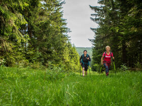 Erlebnisurlaub in Oberwiesenthal am Fichtelberg inkl. Monsterrollertour & Flyline