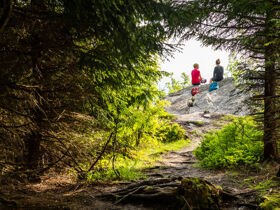 Erlebnisurlaub in Oberwiesenthal am Fichtelberg inkl. Monsterrollertour & Flyline