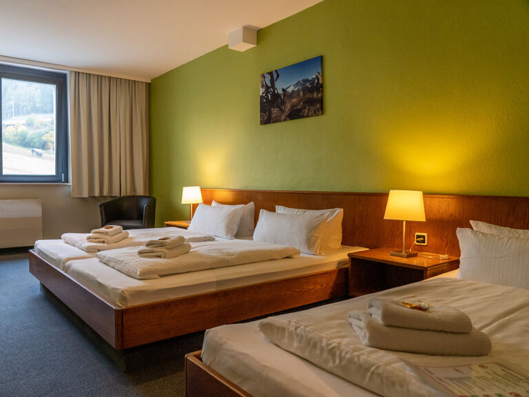 Dreibettzimmer Bergblick A