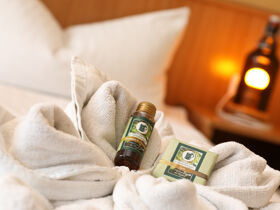 Wintertage an der Müritz 