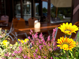 Wintertage an der Müritz 