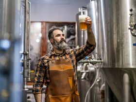 Wintertage an der Müritz 