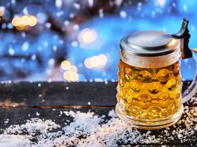 Wintertage an der Müritz 