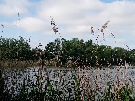 Kurz und Gut an der Müritz 