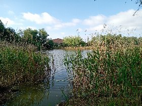 Kurz und Gut an der Müritz 