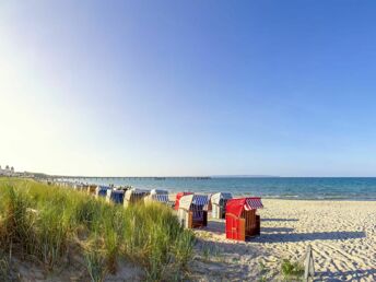 Bild 35 von 37