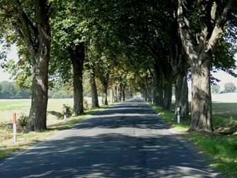 Auszeit genießen an der Mecklenburgischen Seenplatte