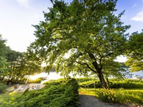 4 Tage Kurzurlaub Superknüller an der Mecklenburger Seenplatte