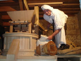 5 Tage in Bad Schandau direkt an der Elbe in der Sächsischen Schweiz