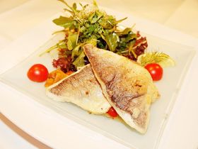 Allerbeste Freundinnen