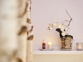 Allerbeste Freundinnen