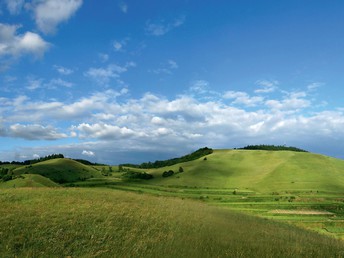 Kaiserstuhl-Pur