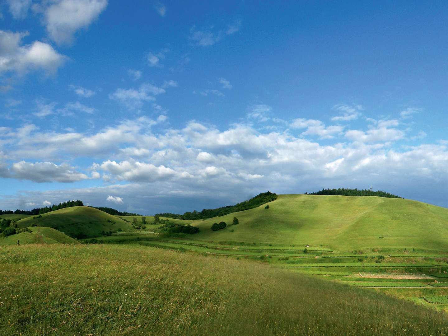 Kaiserstuhl-Pur