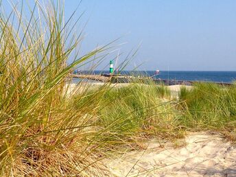 Bild 24 von 37