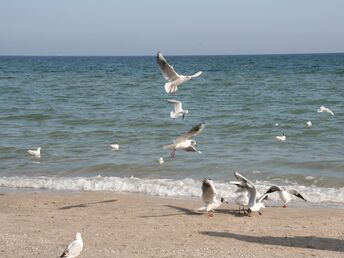 Bild 6 von 37