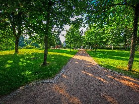 Skipass inklusive ! Winterpaket am Feldberg 3*** Hotel inkl. Halbpension