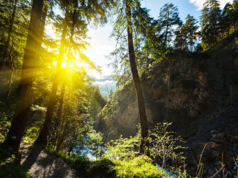 Schwarzwald zwischen Titisee & Schluchsee: Wandern, Action oder einfach  entspannen 