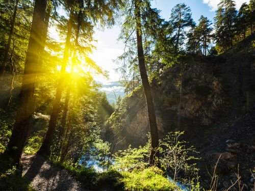 Schwarzwald zwischen Titisee & Schluchsee: Wandern, Action oder einfach  entspannen 