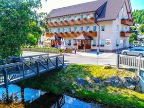 Pfingstferien Last Minute im Hochschwarzwald Nahe Titisee, Schluchsee, Feldberg, Wutach 
