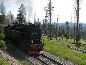 Wandertour im Harz für 3 Tage 