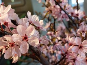 „In des Waldes Ruh“ im Erzgebirge für 4 Tage inkl. Halbpension