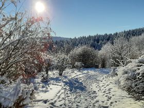 Das Erzgebirge entdecken  - 5 Tage mit traditionell erzgebirgischen Flair