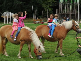Ein tierisches Abenteuer - Familienurlaub am Inselsee inkl. Eintritt in den Wildpark
