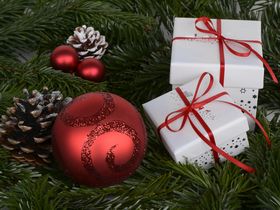 Weihnachten am Inselsee 2026