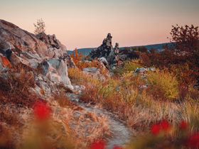 Harz entdecken inkl. Fahrt mit der Seilbahn Thale - 4 Nächte