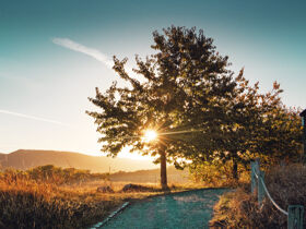 Auszeit in Blankenburg genießen- 3 Tage im Harz 