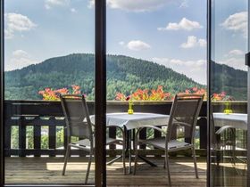 3 Tage | Premium Wandern - in die Socken, fertig, los - Eifelsteig inklusive Abendessen