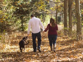 Entspannte Urlaubstage mit Hund in der Wingst an der Nordsee