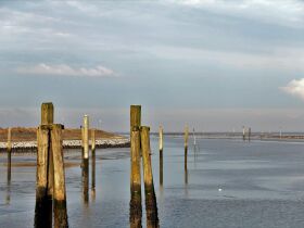 Nordsee-Highlights in Bensersiel inkl. Wattwanderung