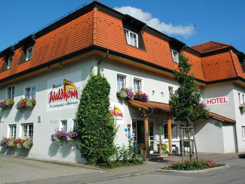 Mayers Waldhorn