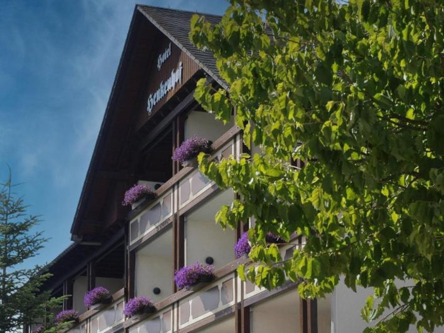 Wochenende im Grünen - Deine Auszeit im Sauerland inkl. SauerlandCard | 3 Tage 