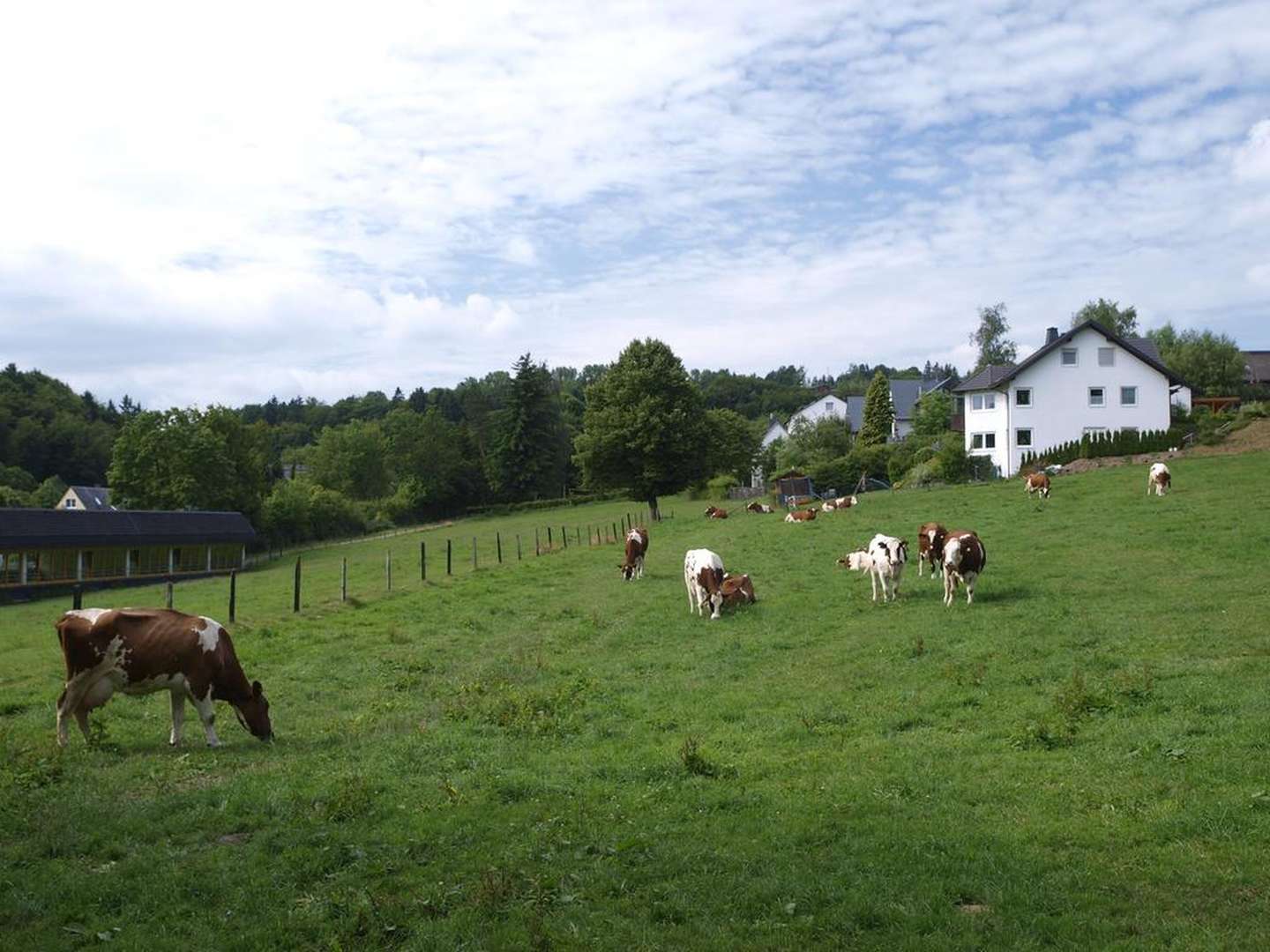 Wochenende im Grünen - Deine Auszeit im Sauerland inkl. SauerlandCard | 3 Tage 