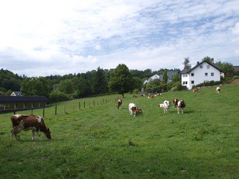 Wochenende im Grünen - Deine Auszeit im Sauerland inkl. SauerlandCard | 3 Tage 