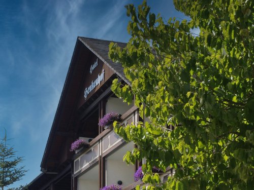 Goldener Wander-September & Oktober | Willingen und das Sauerland entdecken - 4 Tage