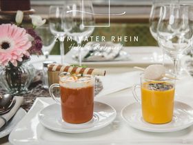 4 Tage Kurzurlaub - den gönn ich mir! Radfahr-Paradies am Rhein inkl. Routenplan 