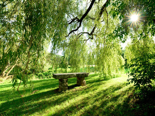 Wanderurlaub Oberlausitz - 4 Tage inkl. Halbpension