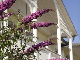 Kurztrip nach Rügen - Rügen entdecken mit dem Fahhrad