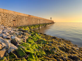 Fahrradurlaub: Auf  Schusters Rappen an der Nordseeküste - 5 Tage