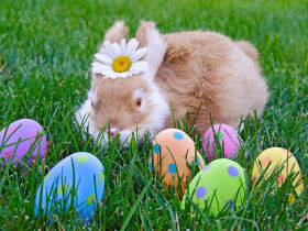 Ostern an der Nordsee inkl. Halbpension | 3 Nächte