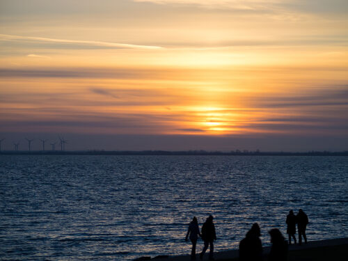 7 Tage Jadebusen und Nationalpark Niedersächsisches Wattenmeer erleben!   2