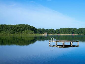 Bild 8 von 22
