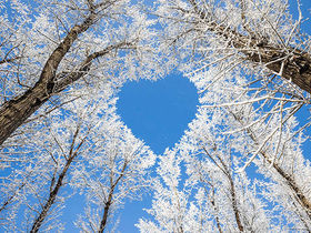 Romantische Winterzeit im Harz inkl. Dinner