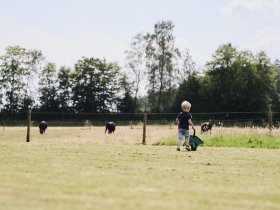 Landidyll - Kennenlerntage im Hunsrück inkl. Halbpension