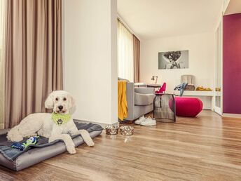 Der Wau-Faktor im Hotel Indigo - Hunde sind herzlich willkommen - 3 Tage