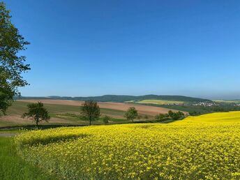 Bild 30 von 30